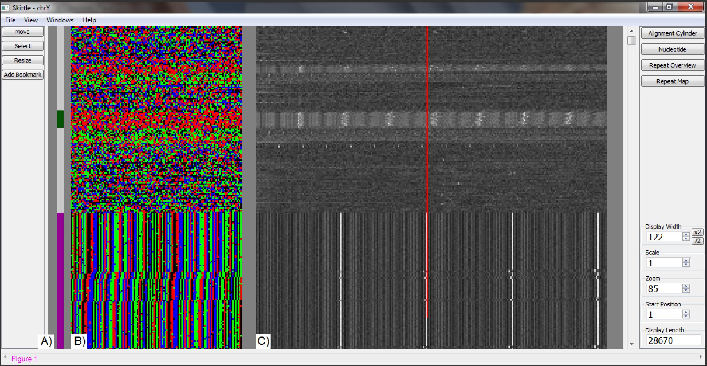 Skittle: A 2-Dimensional Genome Visualization Tool