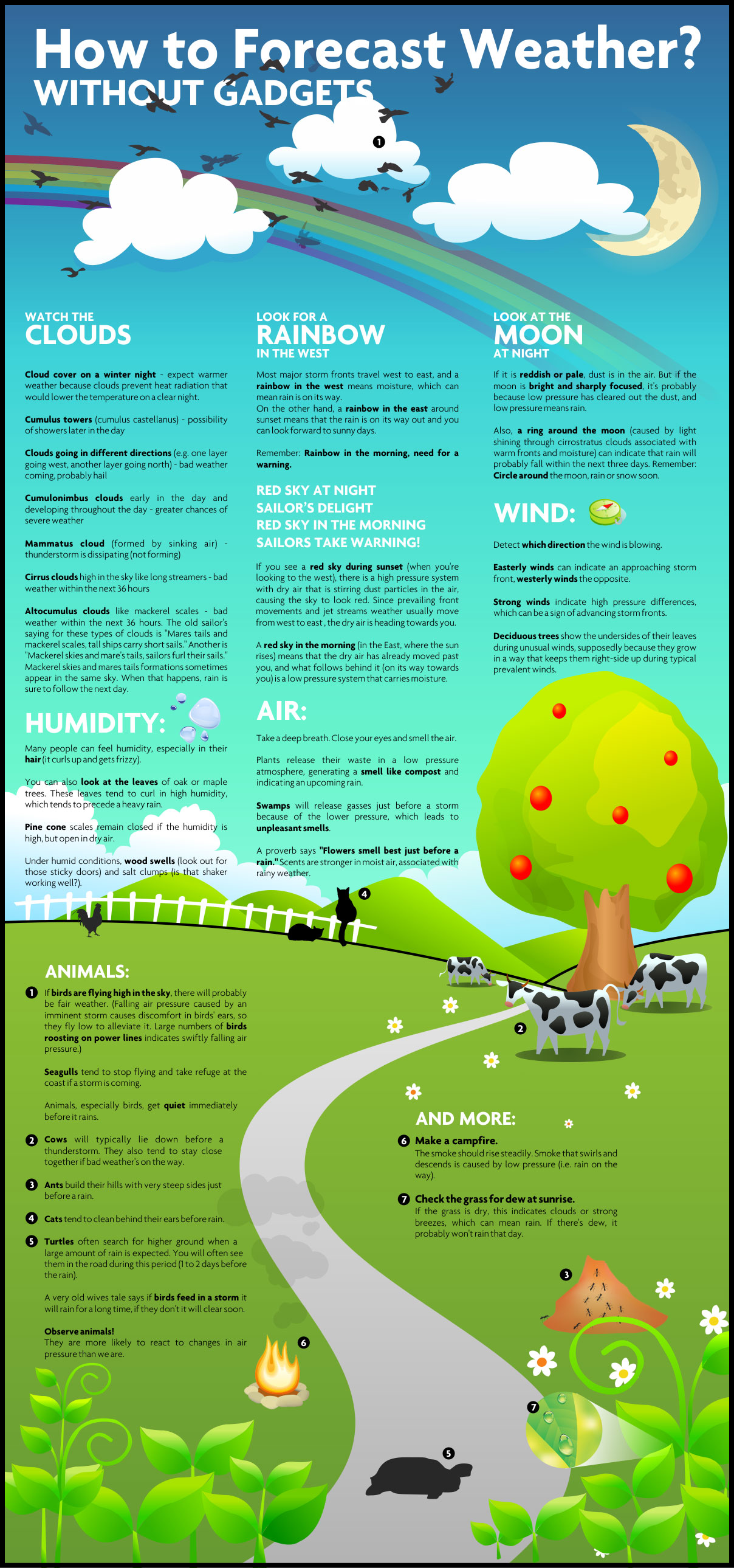 How to Forecast Weather