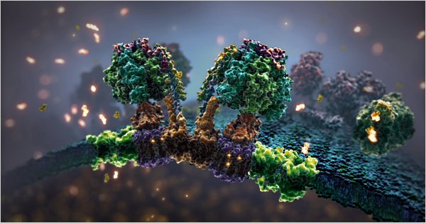Where Cinema and Biology Meet: Molecular Animation