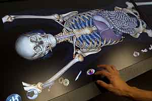 Computerized table lets Stanford students do virtual dissection